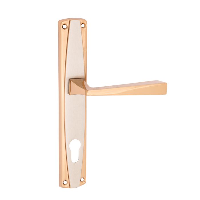 Somer Door Handle Deniz Alfa Gold/Satin - Turkey/6146003616 Somer Door Handle Deniz Alfa Gold/Satin - Turkey/6146003616